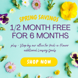 March Special - 1/2 month free for 6 months